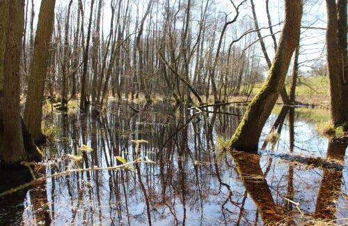 Ferienhütte Barsdorf - Foto 12