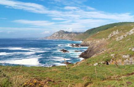 Casa Viveiro - Foto 34