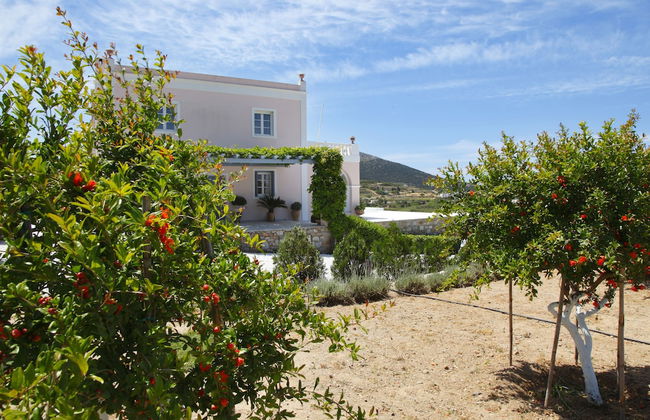 Casa del Sol Syros - Foto 29