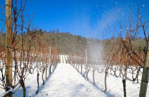 WEINQUARTIER Bad Kösen 65 qm Küche Parkplatz Terrasse Weinbergsblick - Foto 43