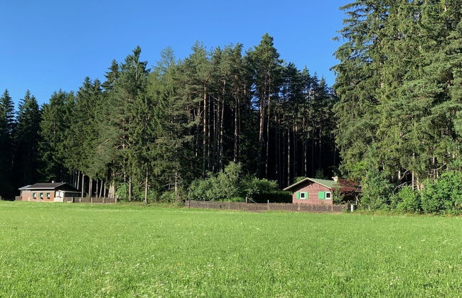 Waldchalet am Eichhof - Foto 26