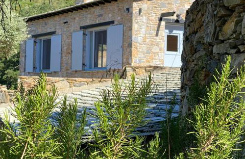 Laas Daskios, Stone Country House, Skopelos Anania - Foto 63