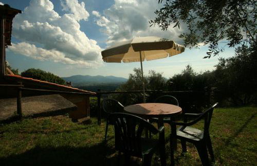 Fattoria Gambaro di Petrognano - Foto 124