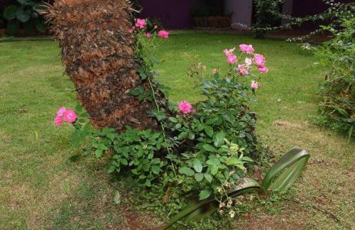 Aconchegante Quarto com Piscina - Foto 57