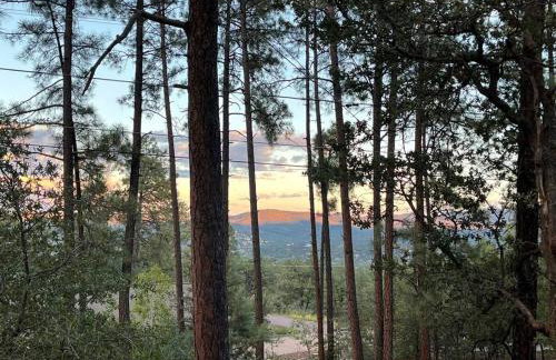 Mountain Cabin Retreat in the Pines - Foto 34