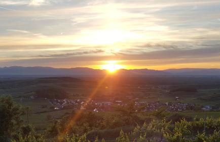 Gästehaus Casa Luna - Paradiesische Ferienwohnungen am Kaiserstuhl! - Foto 29