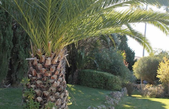 Arrábida Heritage - Photo 30