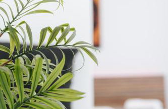 Athena City Apartment - Foto 22