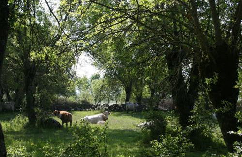 CASA RURAL LA FRESNEDA DE TENZUELA - Foto 30