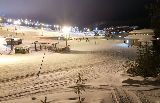 Vuosselin Helmi - Photo 29