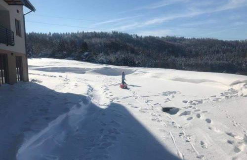 Bieszczadzki Horyzont Apartamenty - Photo 64