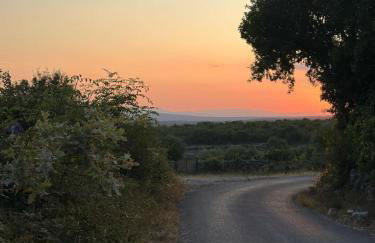 Apartment Vidoni - Photo 39