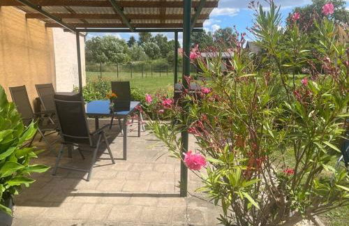 Haus Bernsteinsee mit Goitzsche-Schnuppersegeln - Foto 2