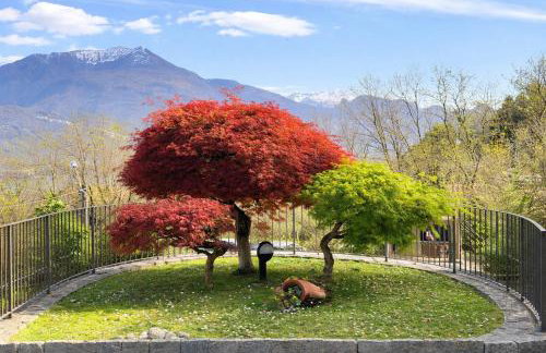 Apartment Tita - Musso - Foto 12