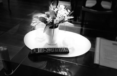 Paradiesisch Wohnen - Loreley - Foto 49