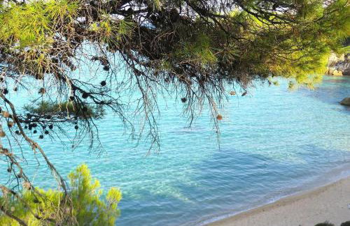 Spacious Villa close to an amazing Sithonia beach - Foto 29