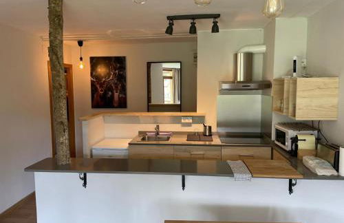 Apartamento DALIA - Foto 3