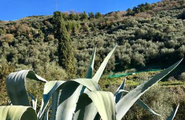 Casa Mediterraneo - Foto 40
