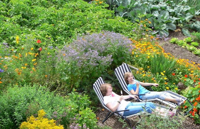 Quiet Holiday Home With Terrace - Foto 18