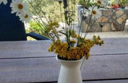 House on Punta - Photo 11