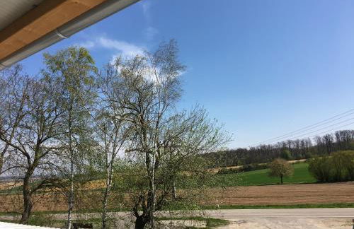 Ferienwohung Hirsch - Foto 14