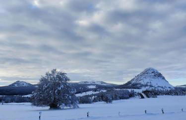 Clède lovée dans la forêt, sauna & bain nordique - Foto 30