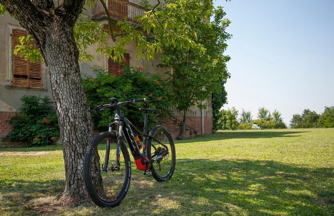 Cascina San Giorgio - Photo 39