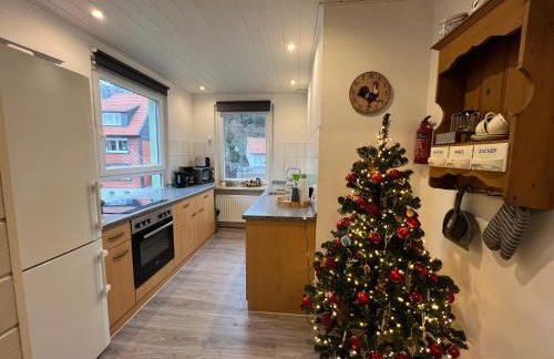 Platell Ferienhäuser Harz Lerbach - Foto 8