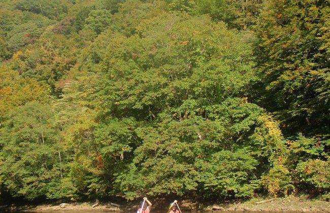 Shioya Spa - Foto 12