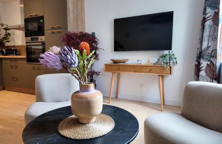 Dijon Hypercentre - Loge de la chouette - Foto 19