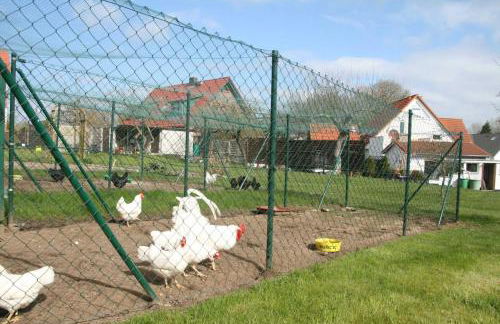 Ferienvilla XL Leuchtturmblick Bastorf nahe Kühlungsborn - Foto 8