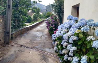 Casa D.Dinis - Foto 23