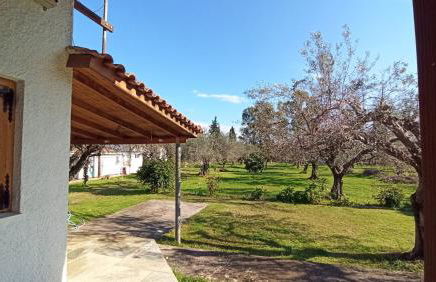 Nafpaktos cottage by the sea for travelers and dreamers! - Foto 40