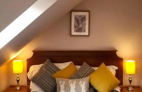 Red Squirrel Lodge - Foto 24