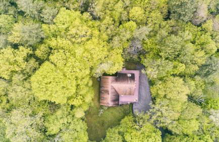 Secluded Forest Sanctuary Outdoor Living, Yard, Views Half Moon by Avantstay - Foto 77