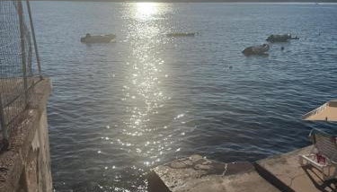 Coastal dream - Photo 3