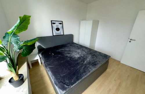 Exklusiver Rheinblick Messe Parken 5 Zimmer, 12 Personen - Foto 44