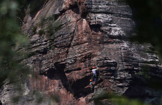 Haus Edith Modern Retreat - Photo 8