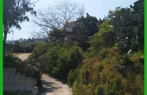 Kampos View Ikaria - Photo 55