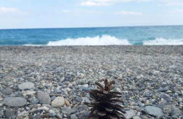 IERRE VATICANO " il piacere dell'accoglienza" - Foto 18