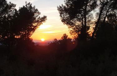 Gîte dans Mas provençal ,havre de paix - Foto 24
