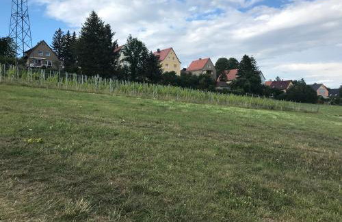 STUDIO am Kaitzer Weinberg - Foto 10