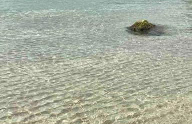 Villa dei Gelsi - Foto 32