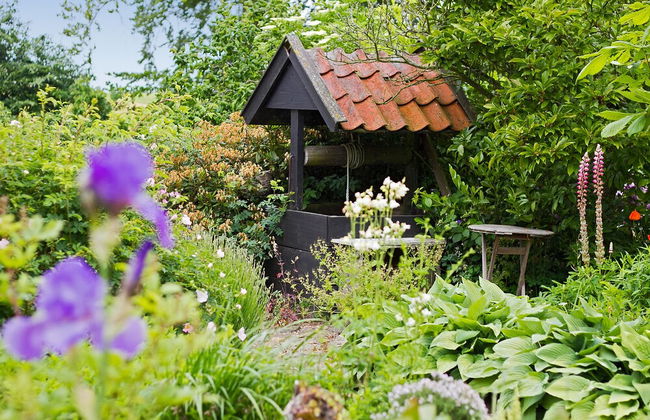 Lehnsgaard Ranch - Foto 40