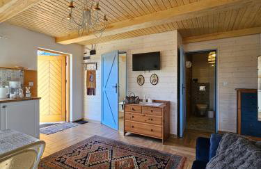 Błękitny Domek- dom i dwa oddzielne apartamenty - Foto 71