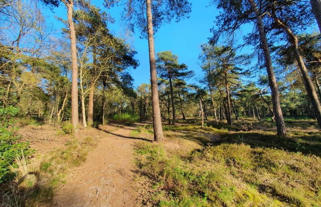 Holiday Lodge in Staphorst With Pool Access - Photo 35