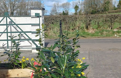 Riverside Cottage at Logwood Mill - Foto 56