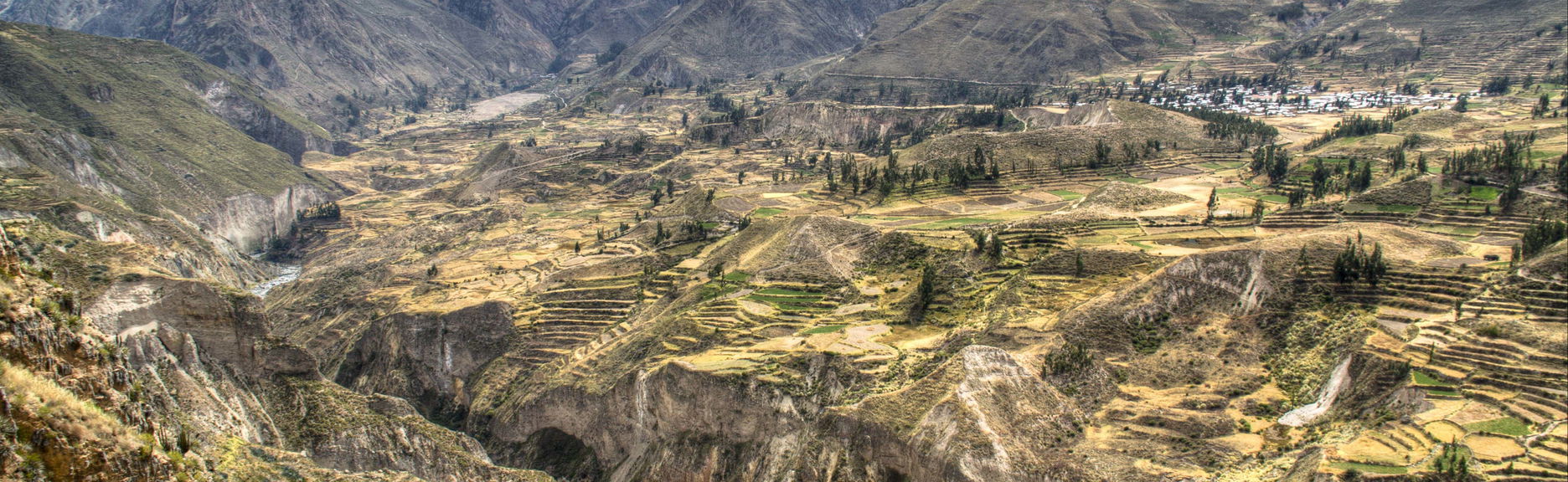 Tour di 2 giorni alla Valle del Colca e al Cruz del Cóndor