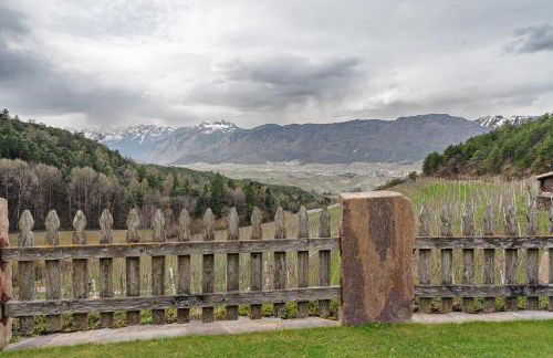 Agriturismo Alpenvidehof - Foto 15