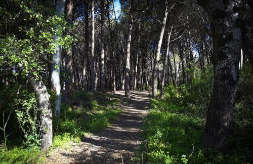 La Laura di Paestum - case vacanze - Foto 29